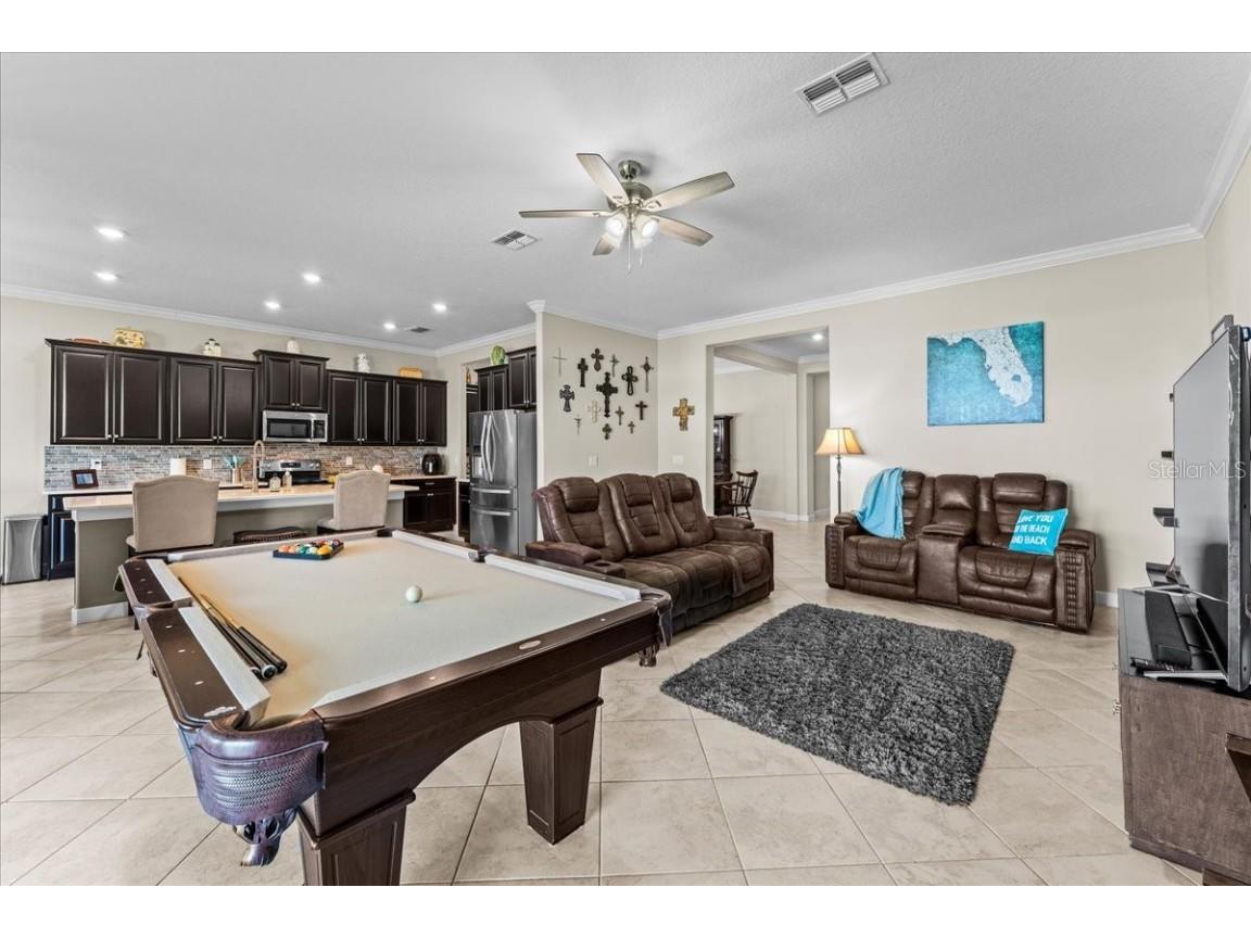 13443 White Sapphire Road Riverview FL 33579 - POND TB8427527 image5