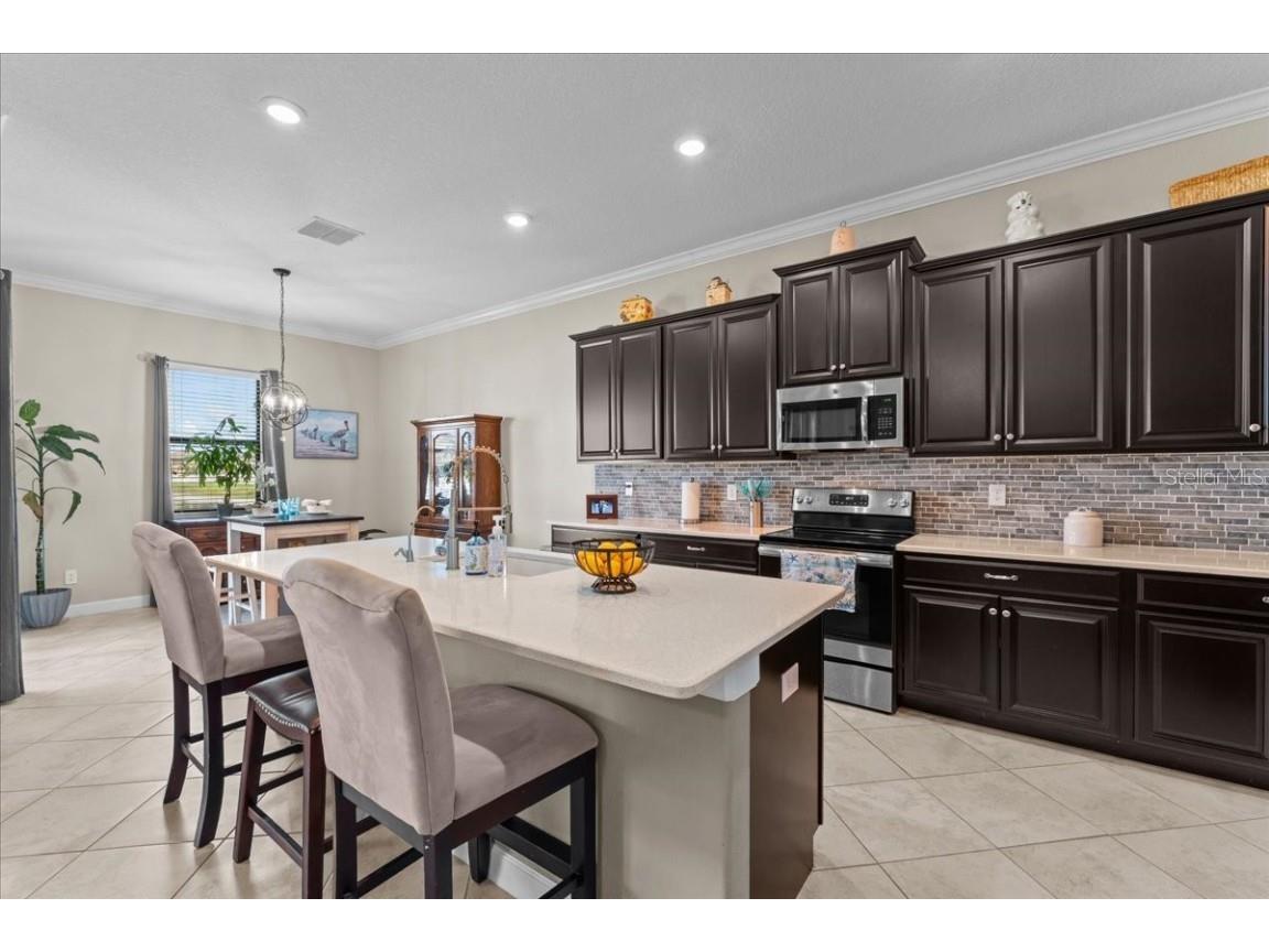 13443 White Sapphire Road Riverview FL 33579 - POND TB8427527 image6