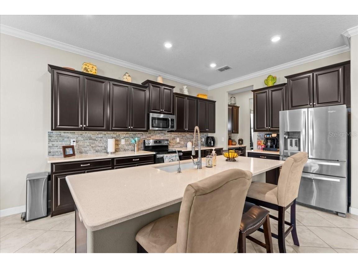 13443 White Sapphire Road Riverview FL 33579 - POND TB8427527 image7