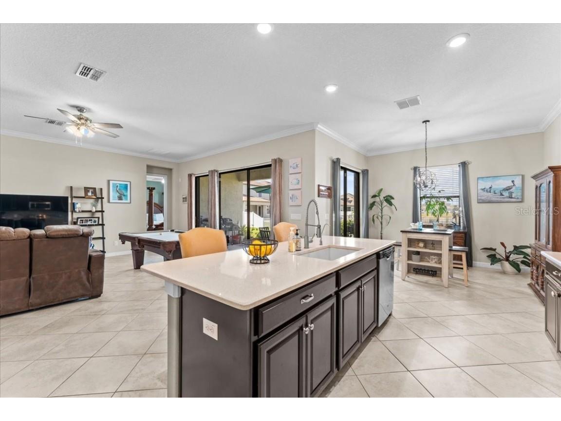 13443 White Sapphire Road Riverview FL 33579 - POND TB8427527 image8