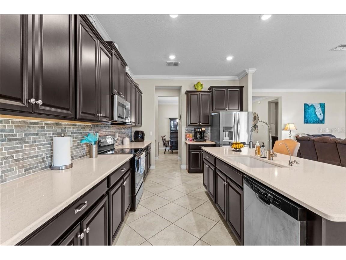 13443 White Sapphire Road Riverview FL 33579 - POND TB8427527 image9