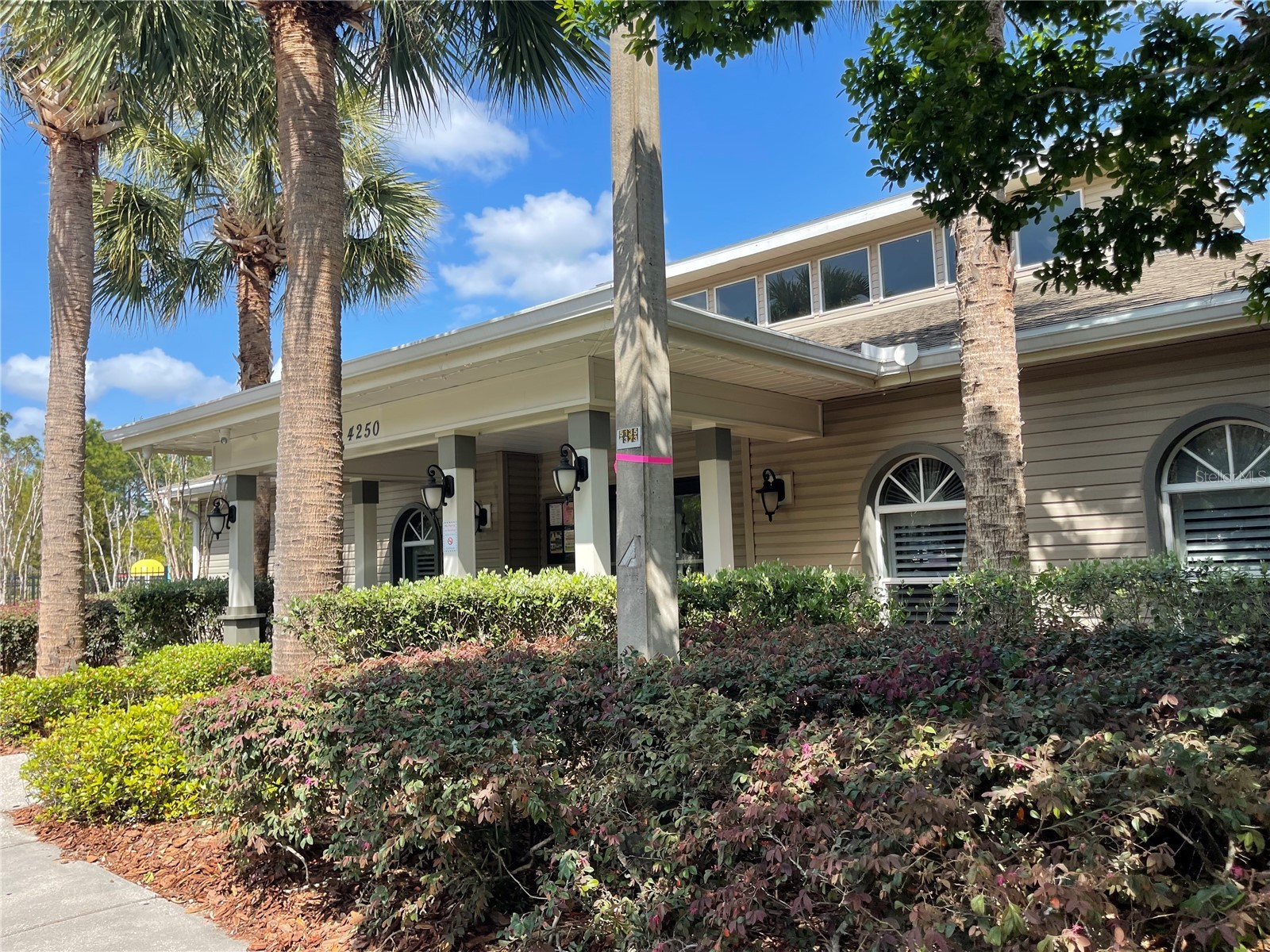 13444 Haverhill Drive Spring Hill FL 34609 W7884248 image50