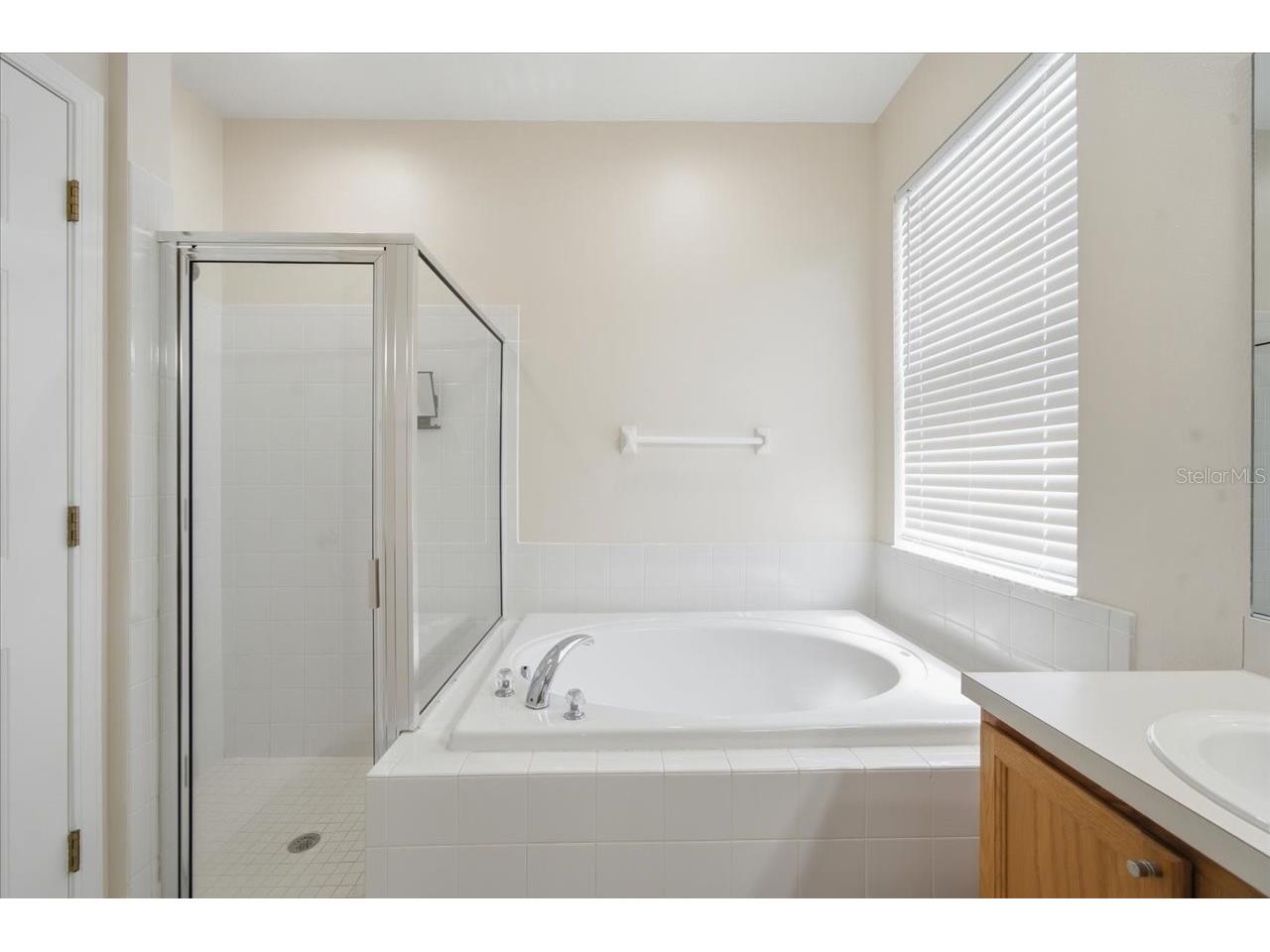 13444 Haverhill Drive Spring Hill FL 34609 W7887299 image29