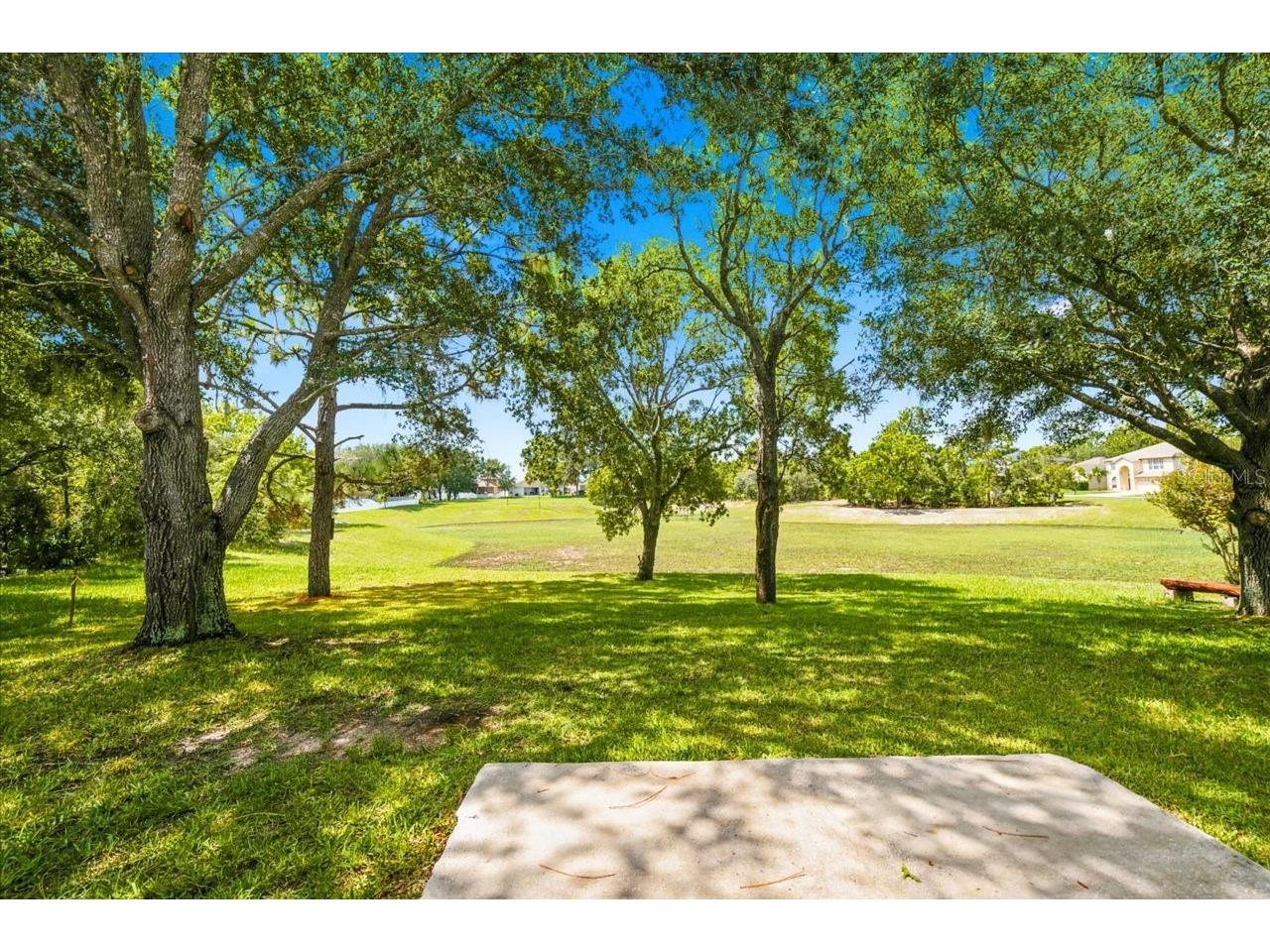 13444 Haverhill Drive Spring Hill FL 34609 W7887299 image41
