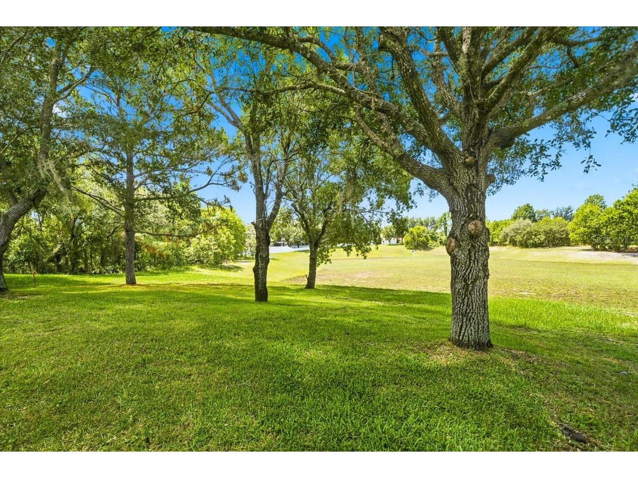 13444 Haverhill Drive Spring Hill FL 34609 W7887299 image42