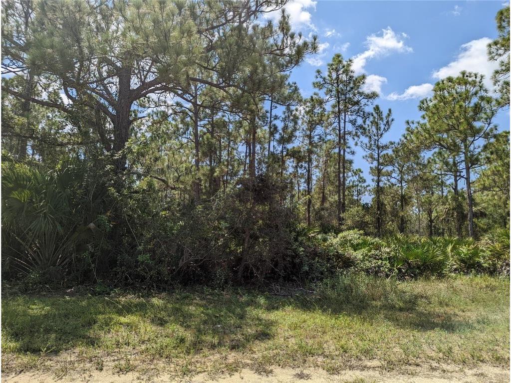 13445 Carousel Drive Punta Gorda FL 33955 C7466651 image1