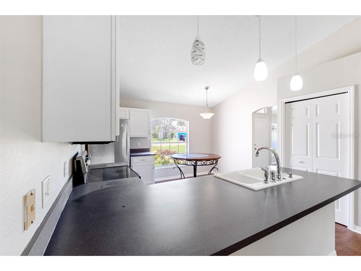 13446 White Plains Street Spring Hill FL 34609 W7877966 image11