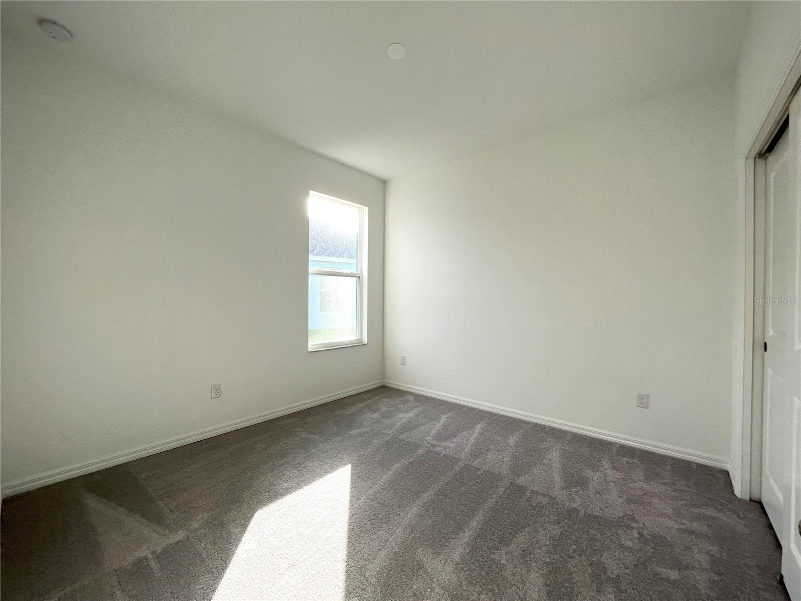 13447 Newport Shores Drive Hudson FL 34669 W7883934 image23