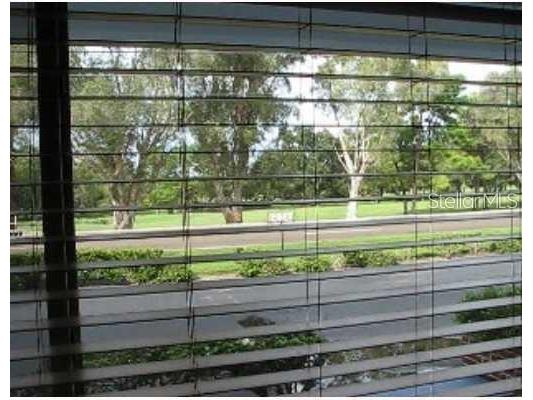 1345 Drew Street #5 Clearwater FL 33755 TB8355363 image2