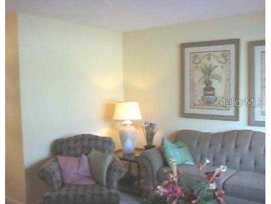 1345 Drew Street #5 Clearwater FL 33755 TB8355363 image4