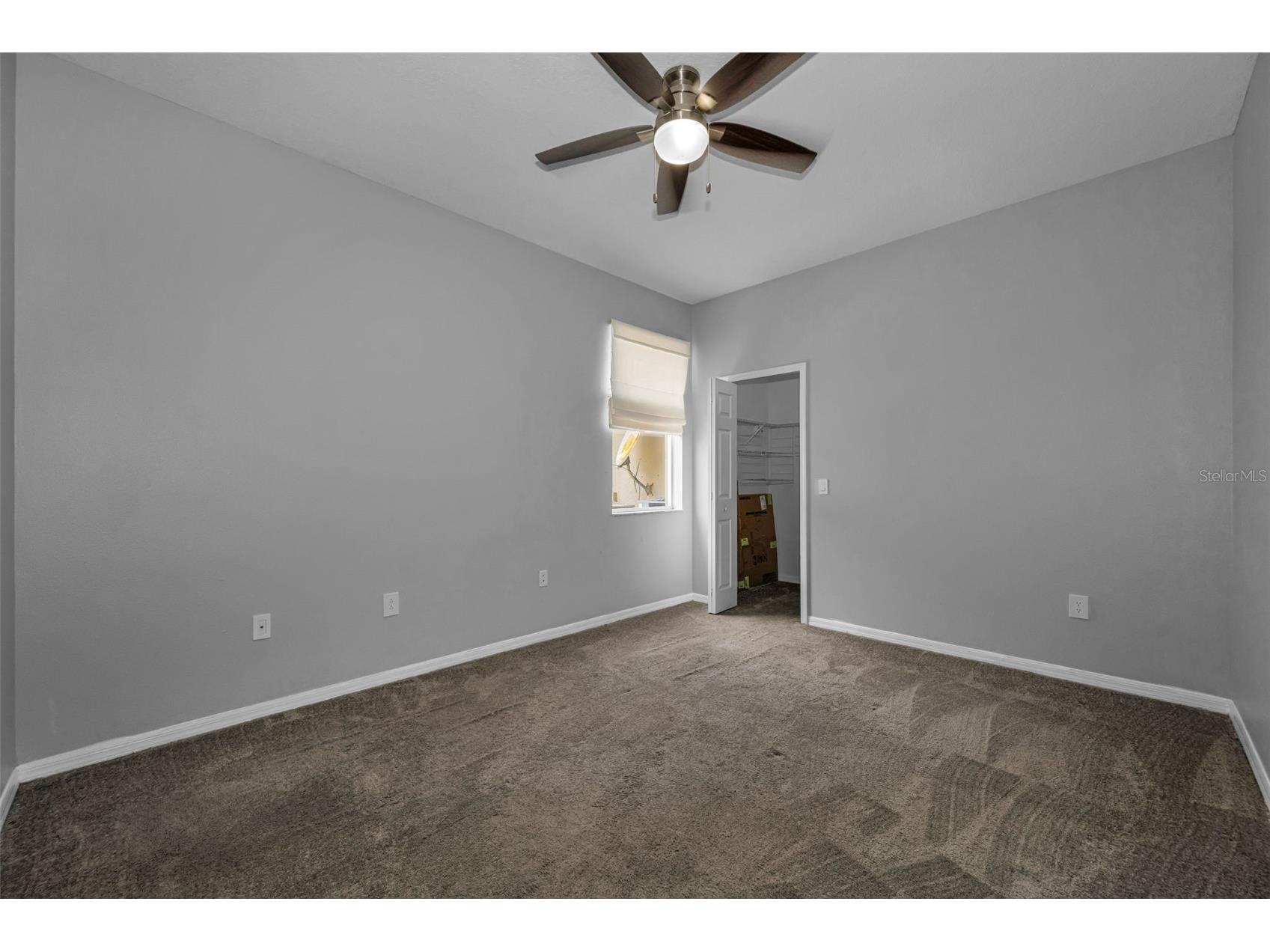 1345 Halapa Way Trinity FL 34655 W7886426 image31