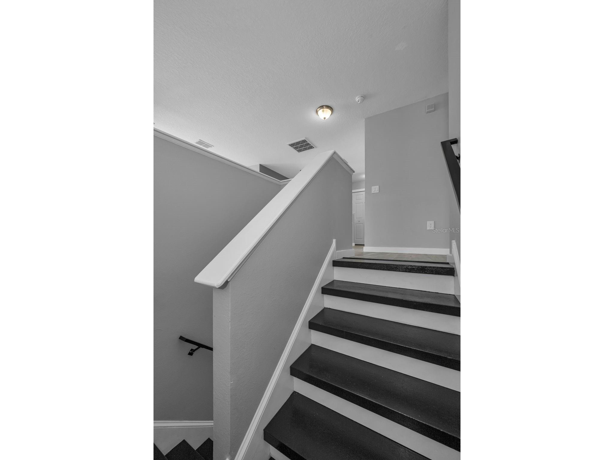 1345 Halapa Way Trinity FL 34655 W7886426 image38