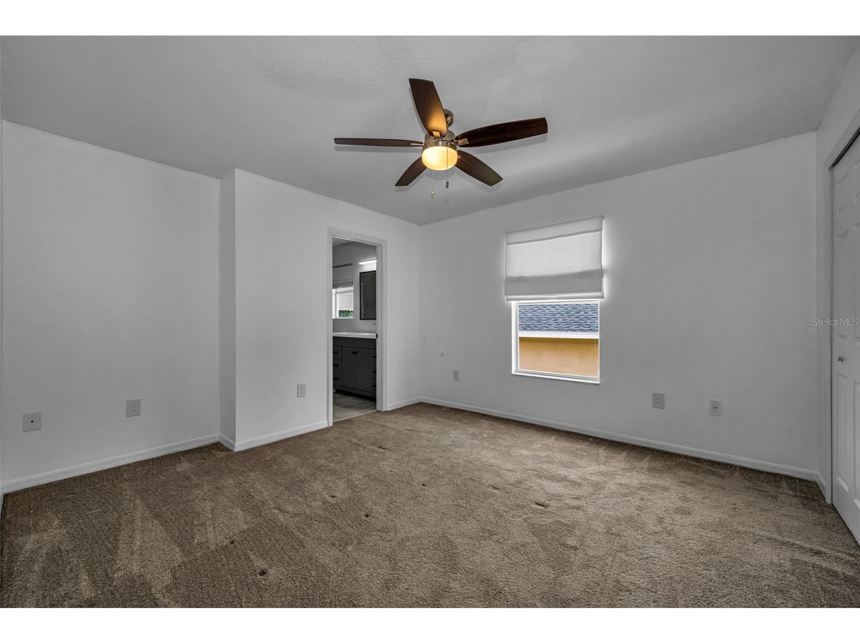 1345 Halapa Way Trinity FL 34655 W7886426 image50
