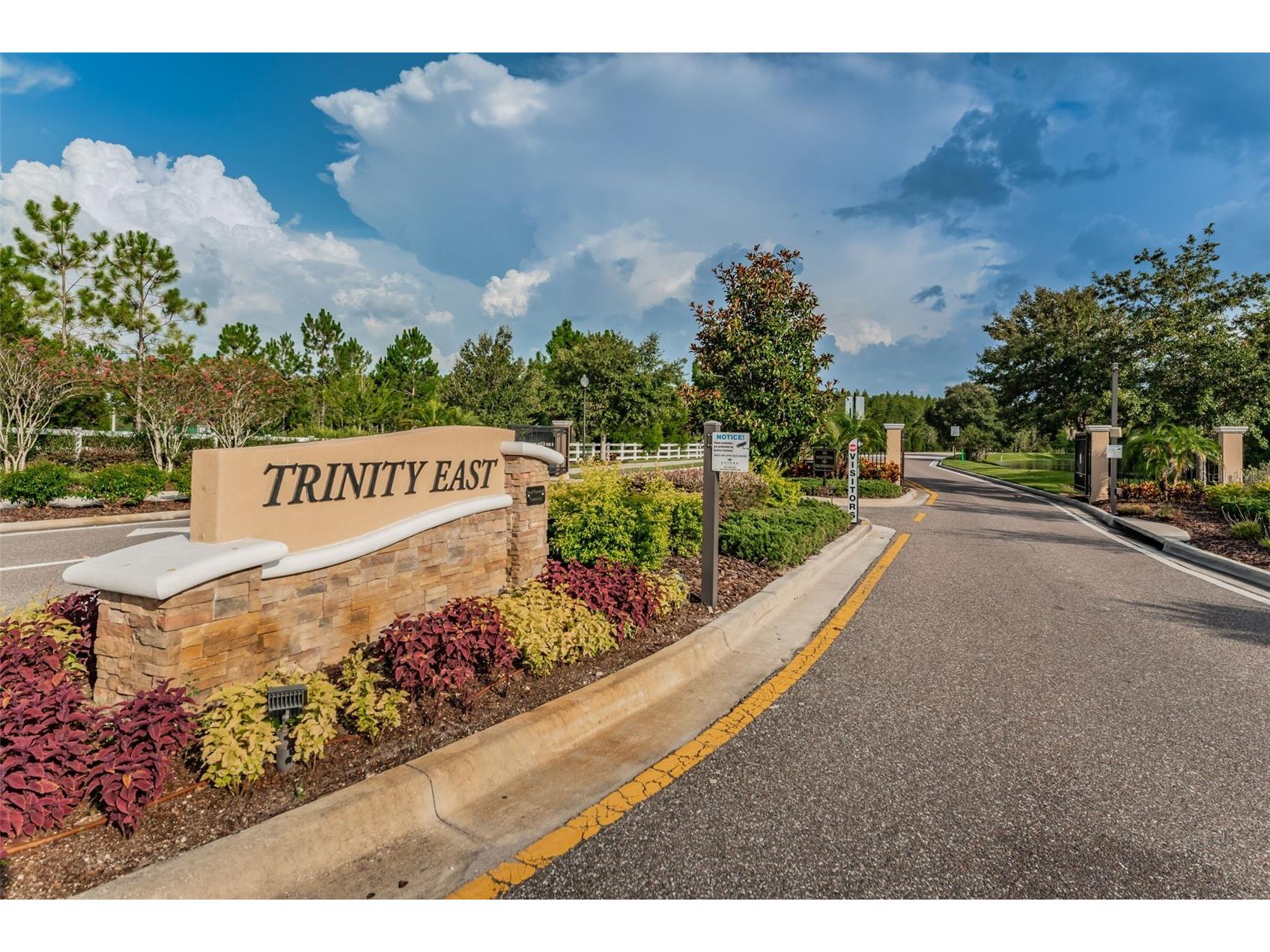 1345 Halapa Way Trinity FL 34655 W7886426 image83