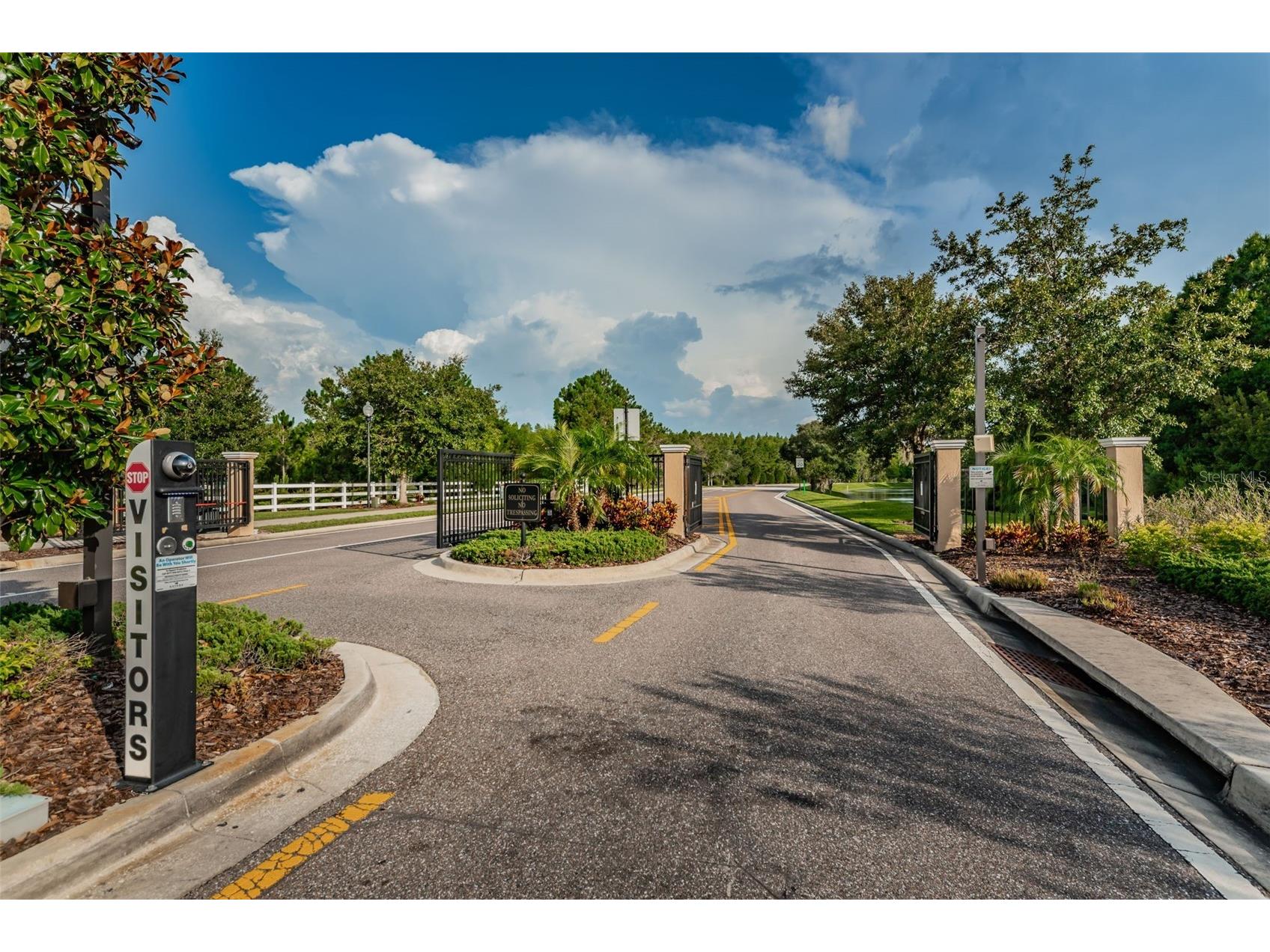 1345 Halapa Way Trinity FL 34655 W7886426 image84