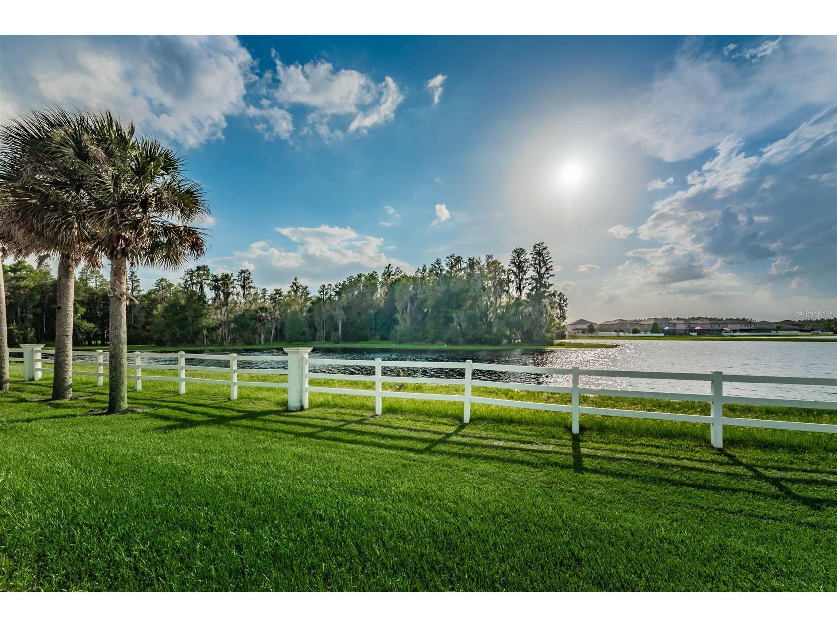 1345 Halapa Way Trinity FL 34655 W7886426 image85