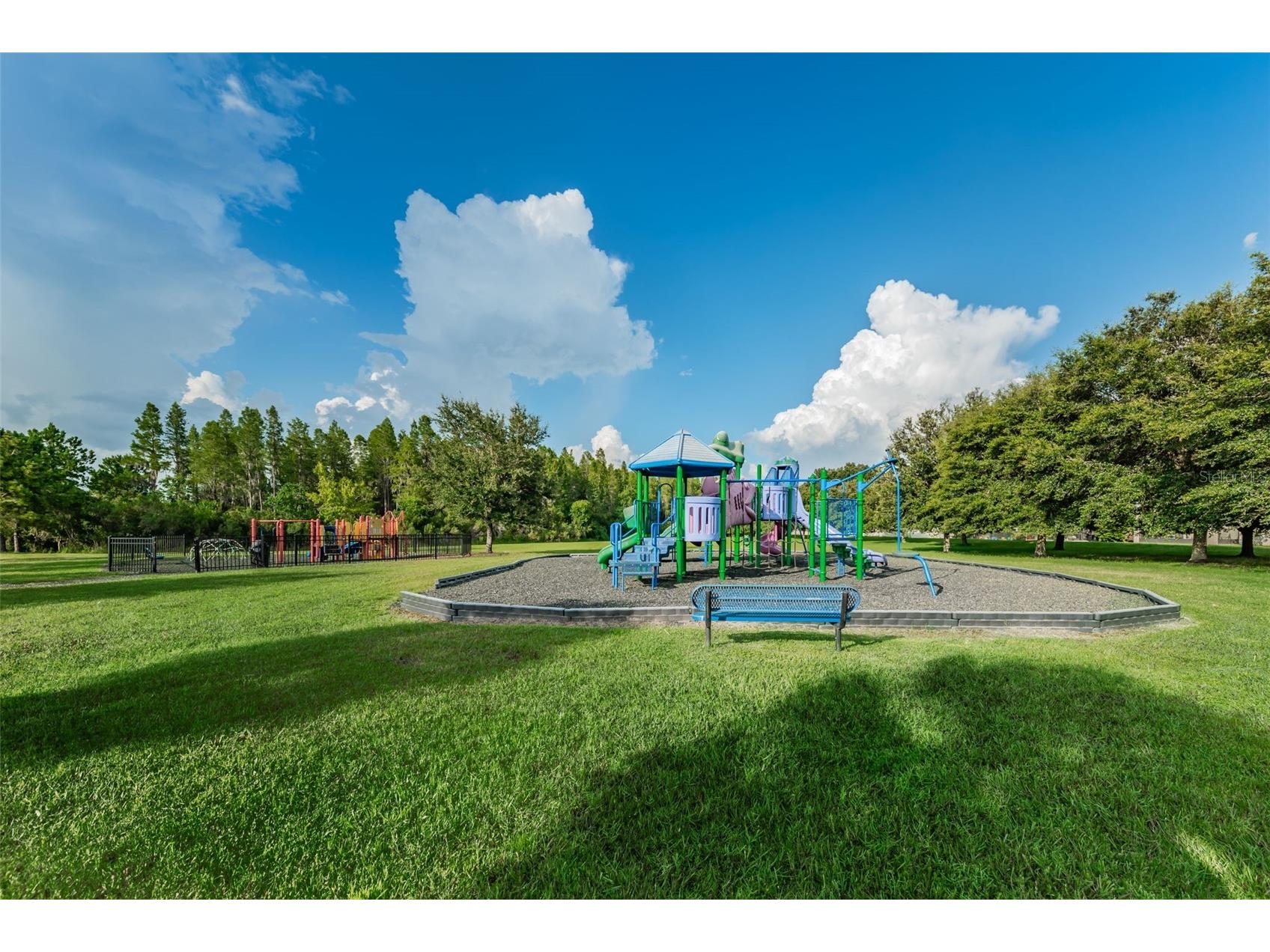 1345 Halapa Way Trinity FL 34655 W7886426 image86