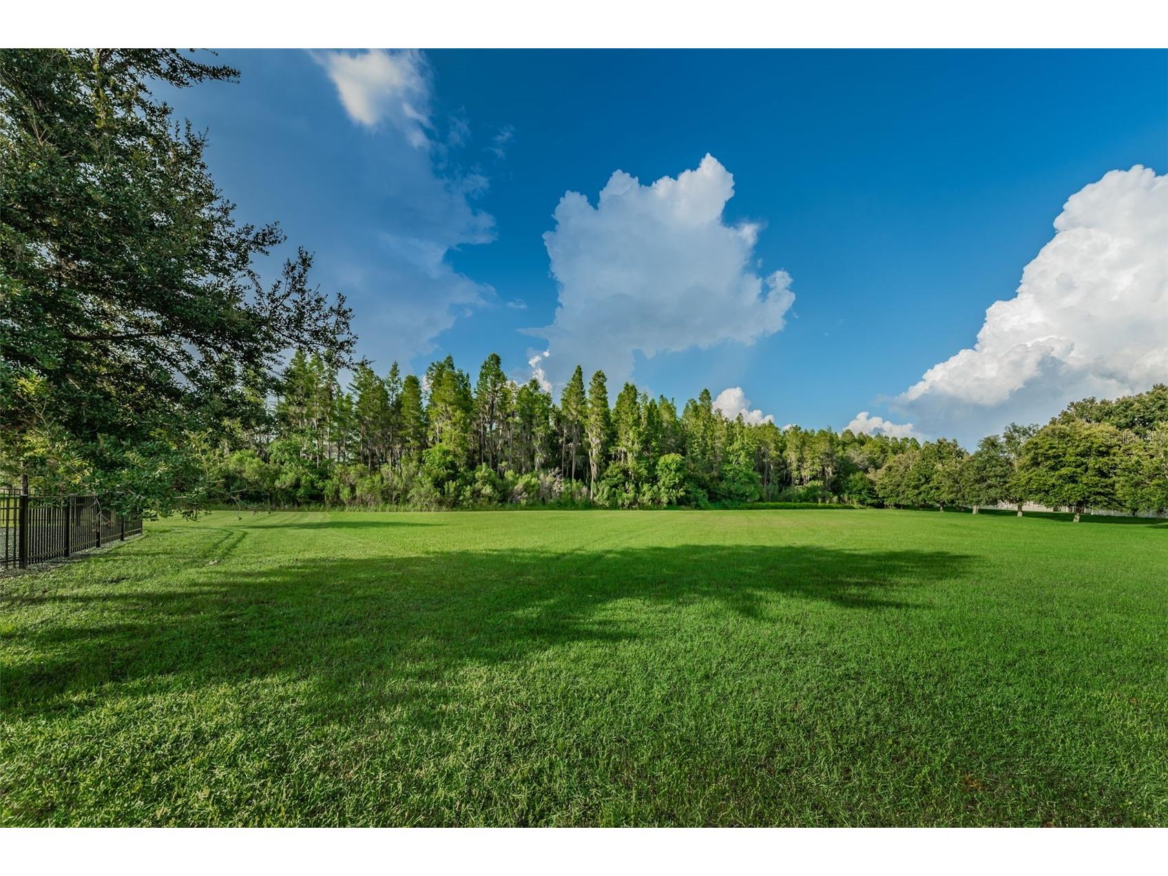 1345 Halapa Way Trinity FL 34655 W7886426 image88