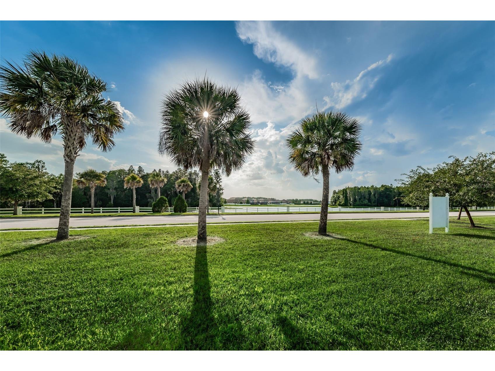 1345 Halapa Way Trinity FL 34655 W7886426 image89