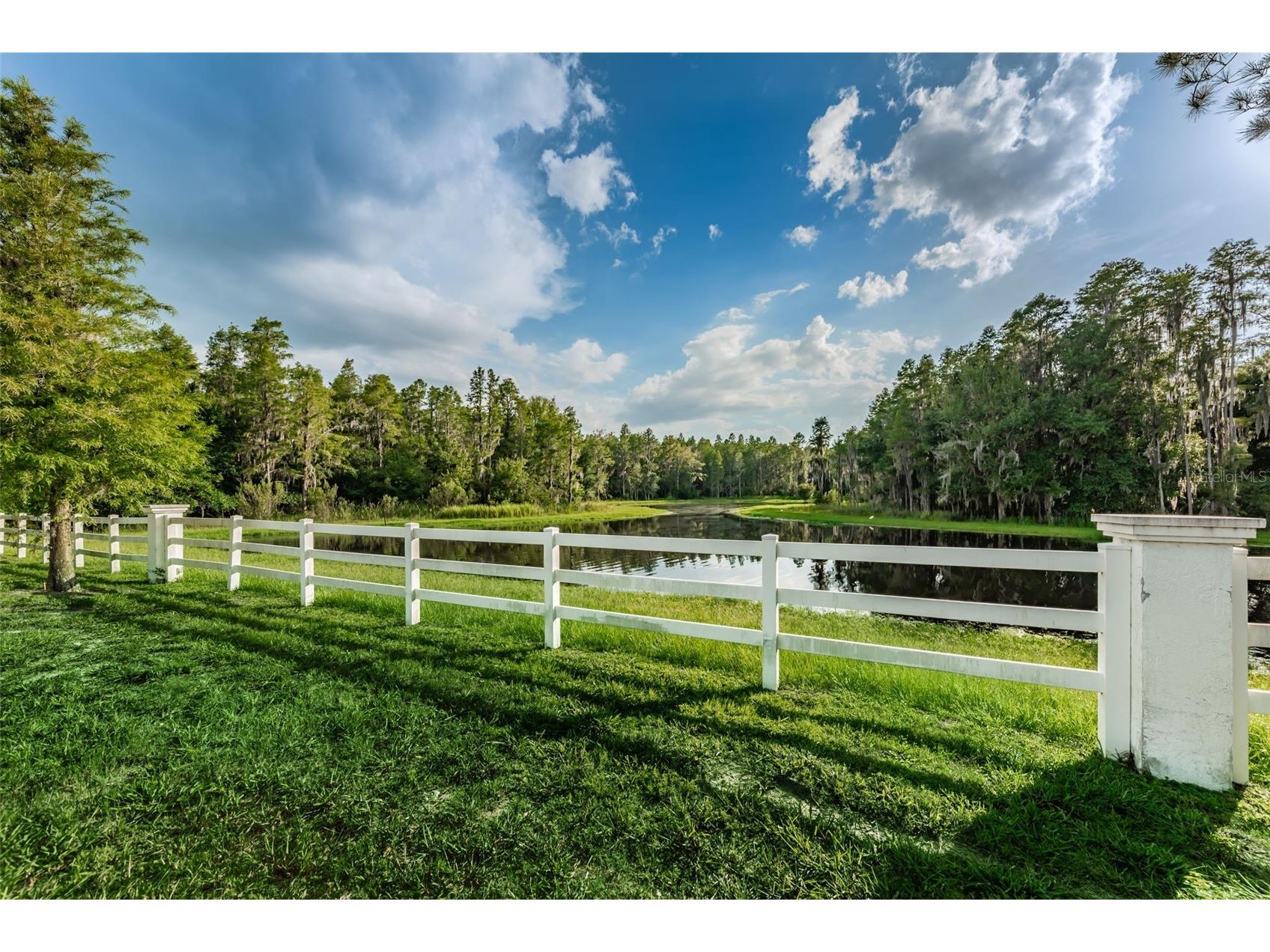 1345 Halapa Way Trinity FL 34655 W7886426 image90