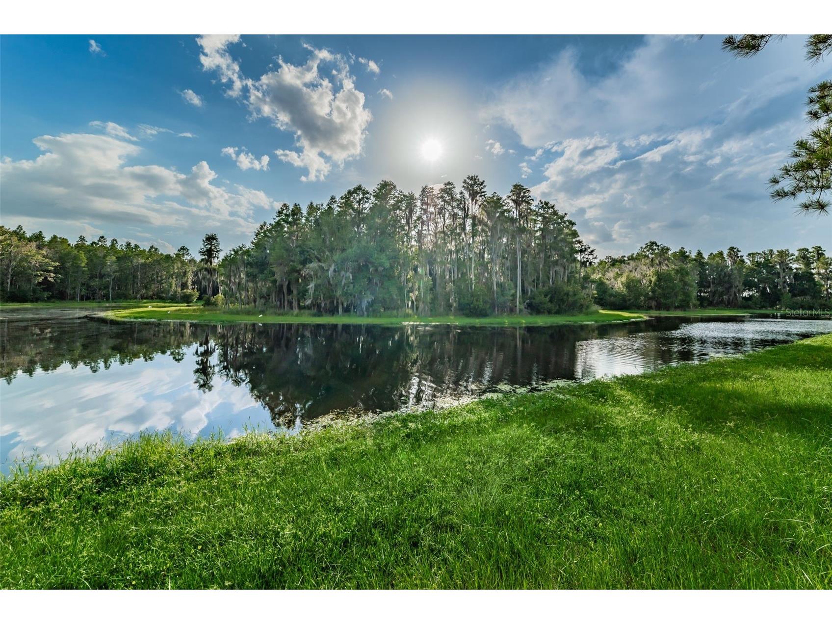 1345 Halapa Way Trinity FL 34655 W7886426 image91