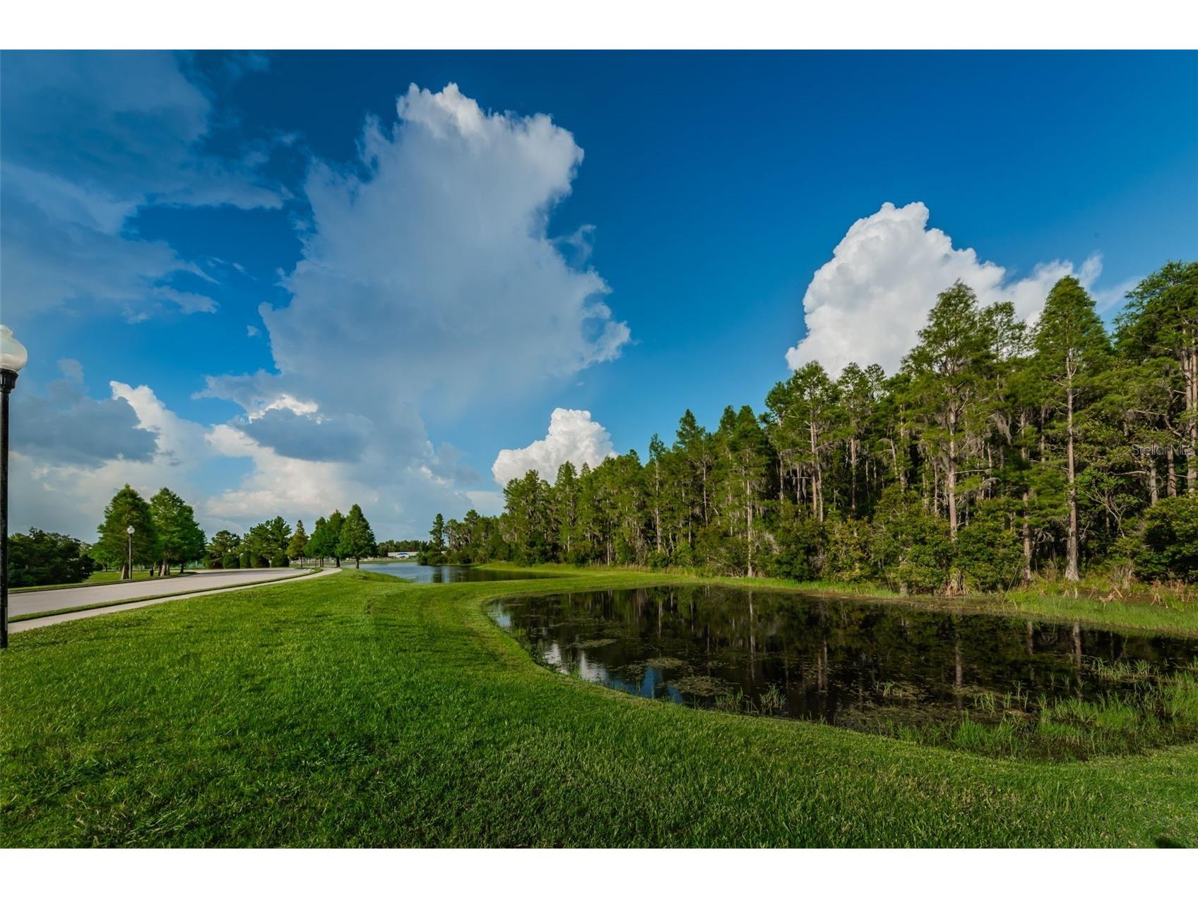 1345 Halapa Way Trinity FL 34655 W7886426 image92