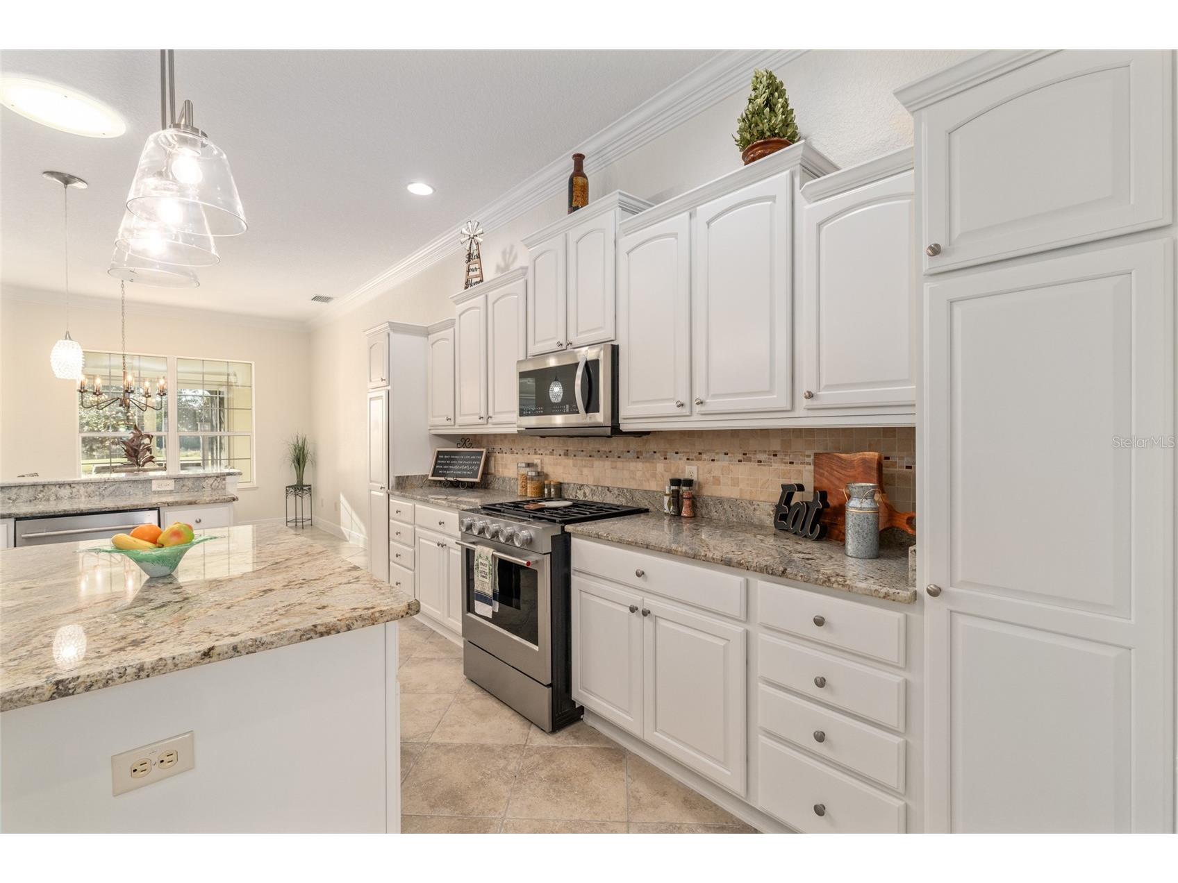 1345 Harley Circle The Villages FL 32162 G5105167 image39