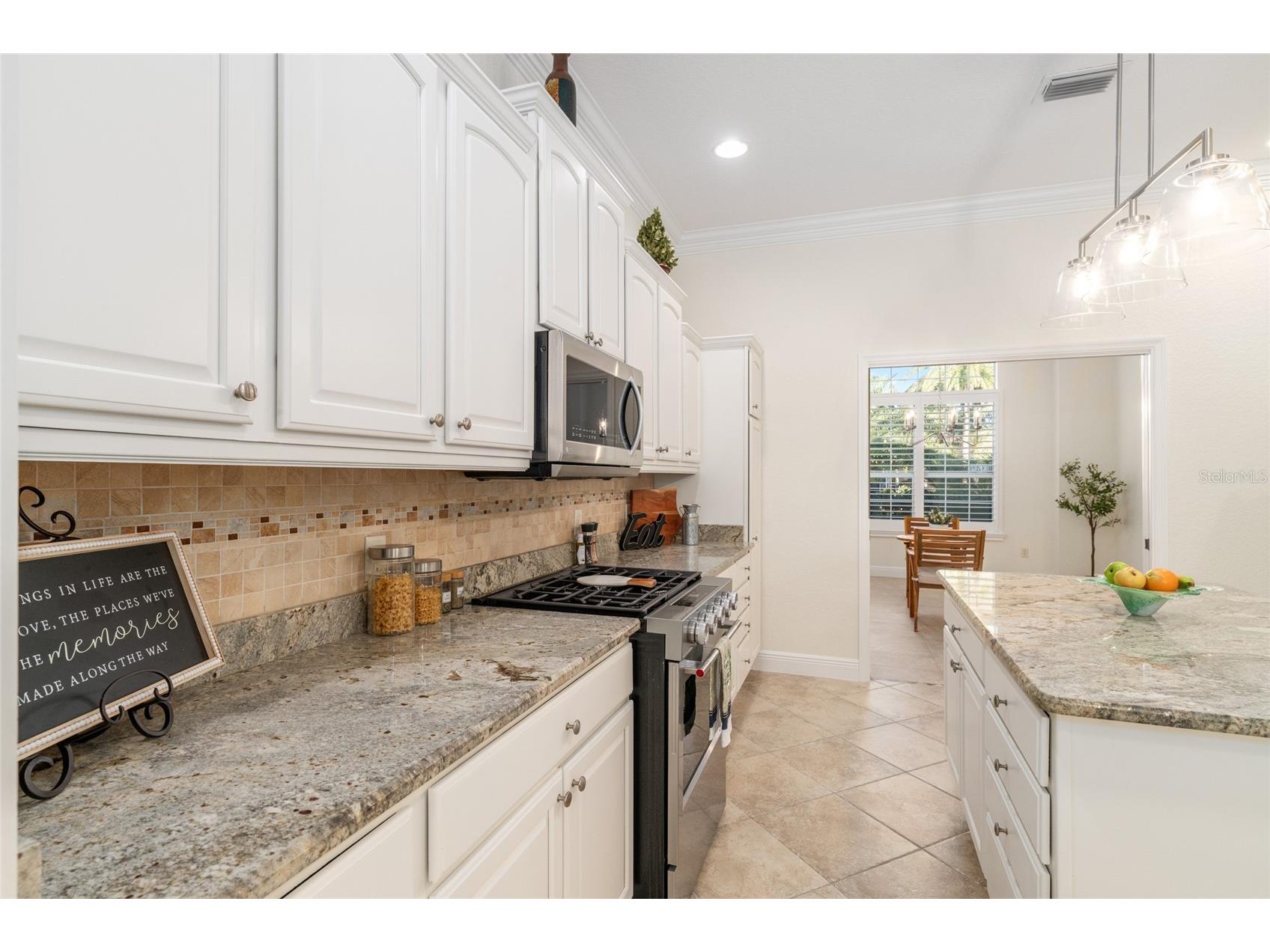 1345 Harley Circle The Villages FL 32162 G5105167 image40