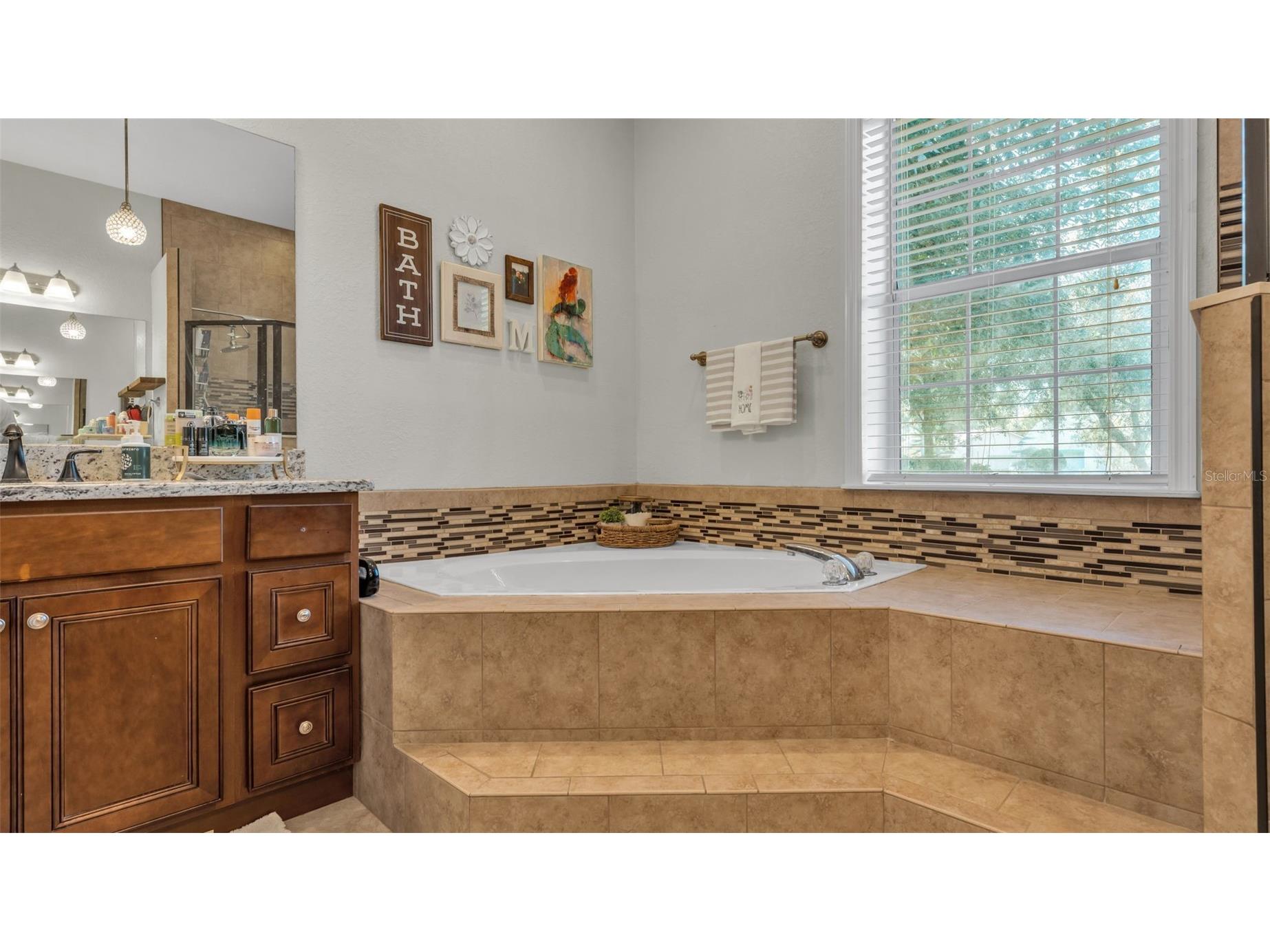 1345 Longoak Dr Drive N Lakeland FL 33811 L4958435 image13