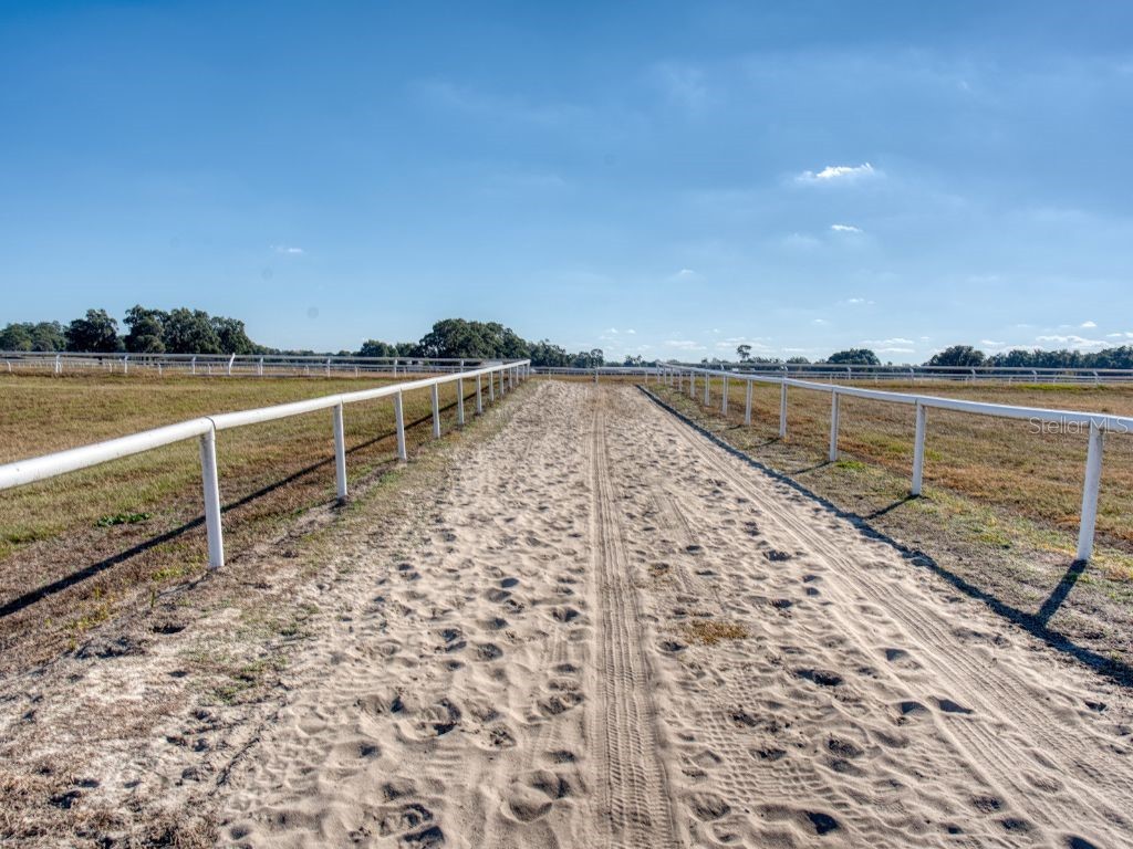 1345 NE 155 Place Citra FL 32113 OM713645 image11