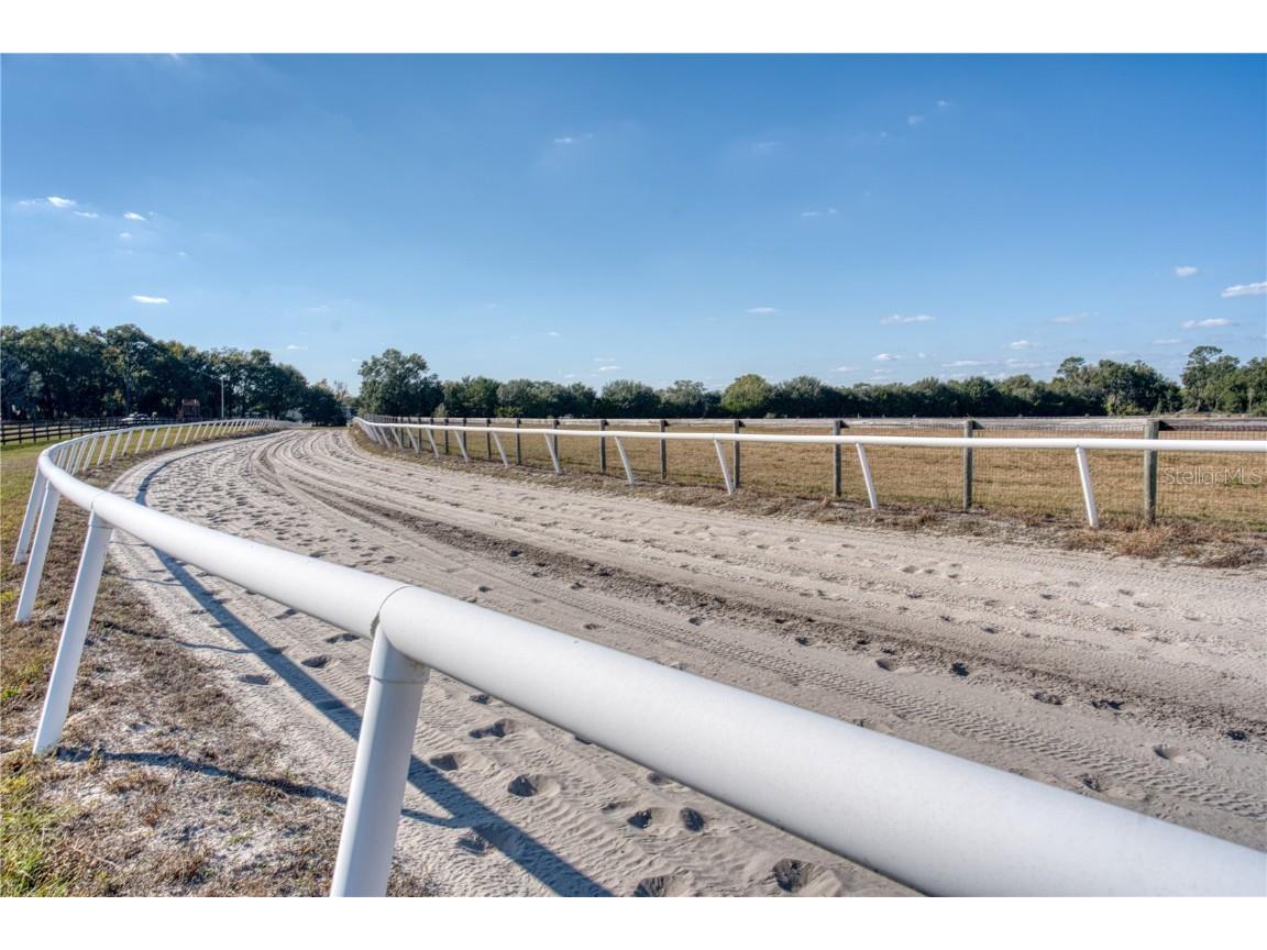 1345 NE 155 Place Citra FL 32113 OM713645 image29