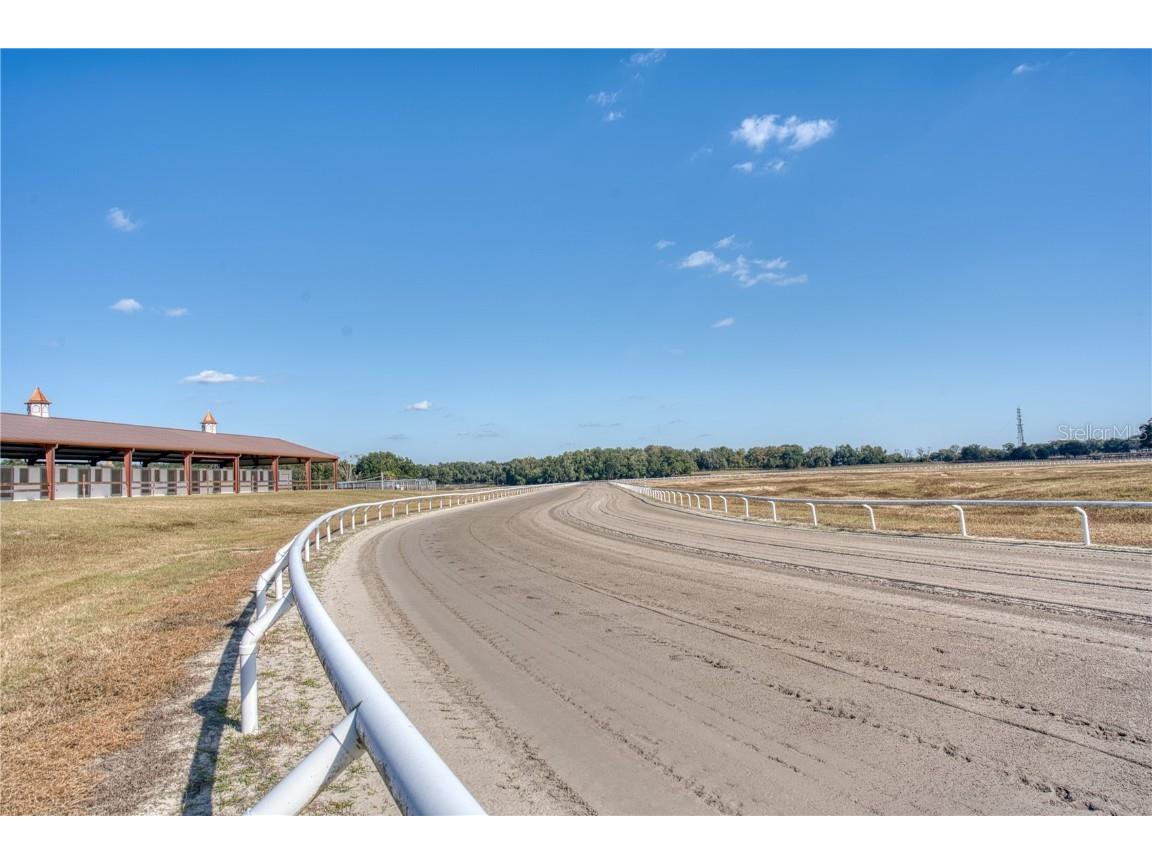 1345 NE 155 Place Citra FL 32113 OM713645 image35