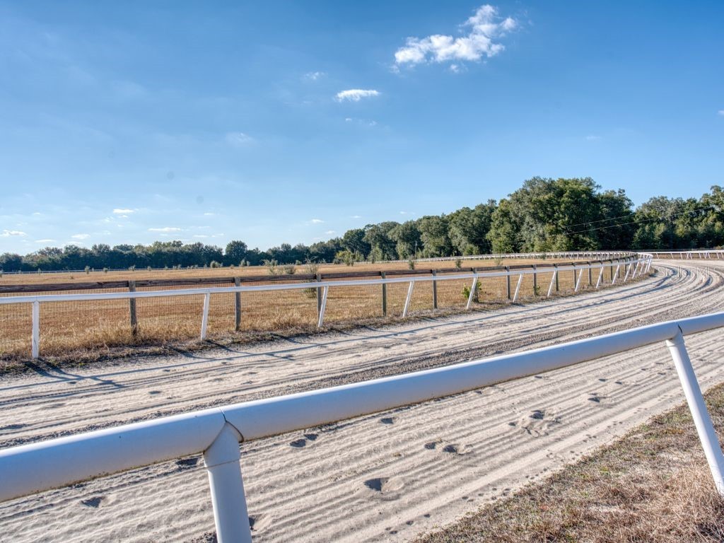 1345 NE 155 Place Citra FL 32113 OM713645 image38