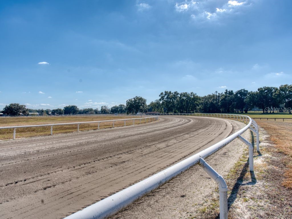 1345 NE 155 Place Citra FL 32113 OM713645 image58