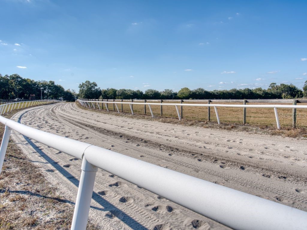 1345 NE 155 Place Citra FL 32113 OM713645 image60