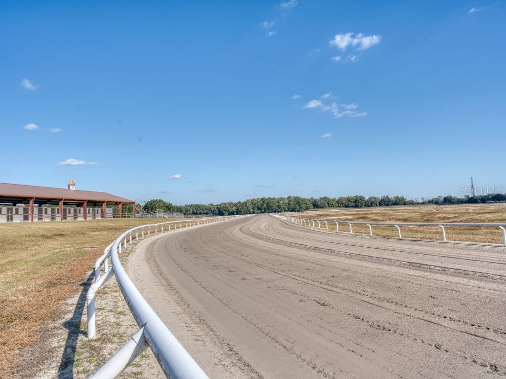 1345 NE 155 Place Citra FL 32113 OM713645 image61