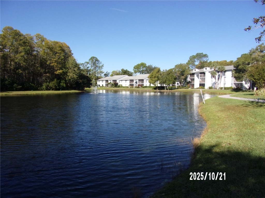1345 Pine Ridge Circle E #C2 Tarpon Springs FL 34688 TB8440350 image23