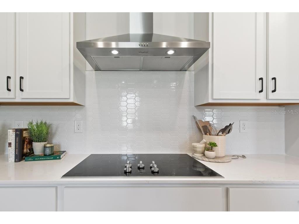 1345 Ribbon Place Palm Coast FL 32164 FC319219 image13