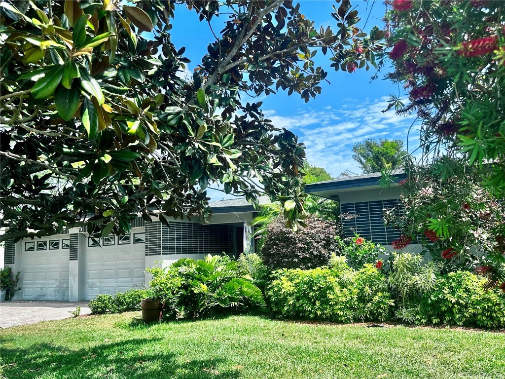 1345 S Evergreen Avenue Clearwater FL 33756 TB8369572 image1