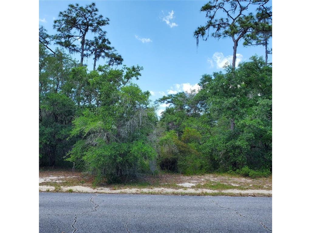 1345 St Augustine Court Kissimmee FL 34759 S5103635 image1