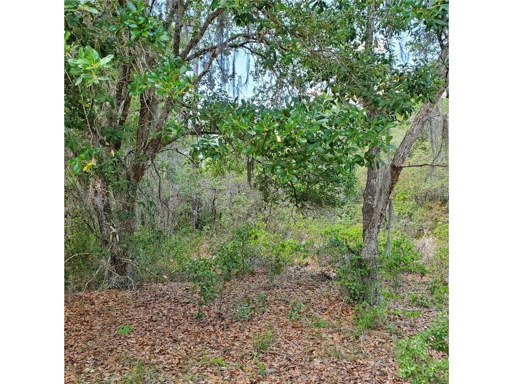 1345 St Augustine Court Kissimmee FL 34759 S5103635 image2