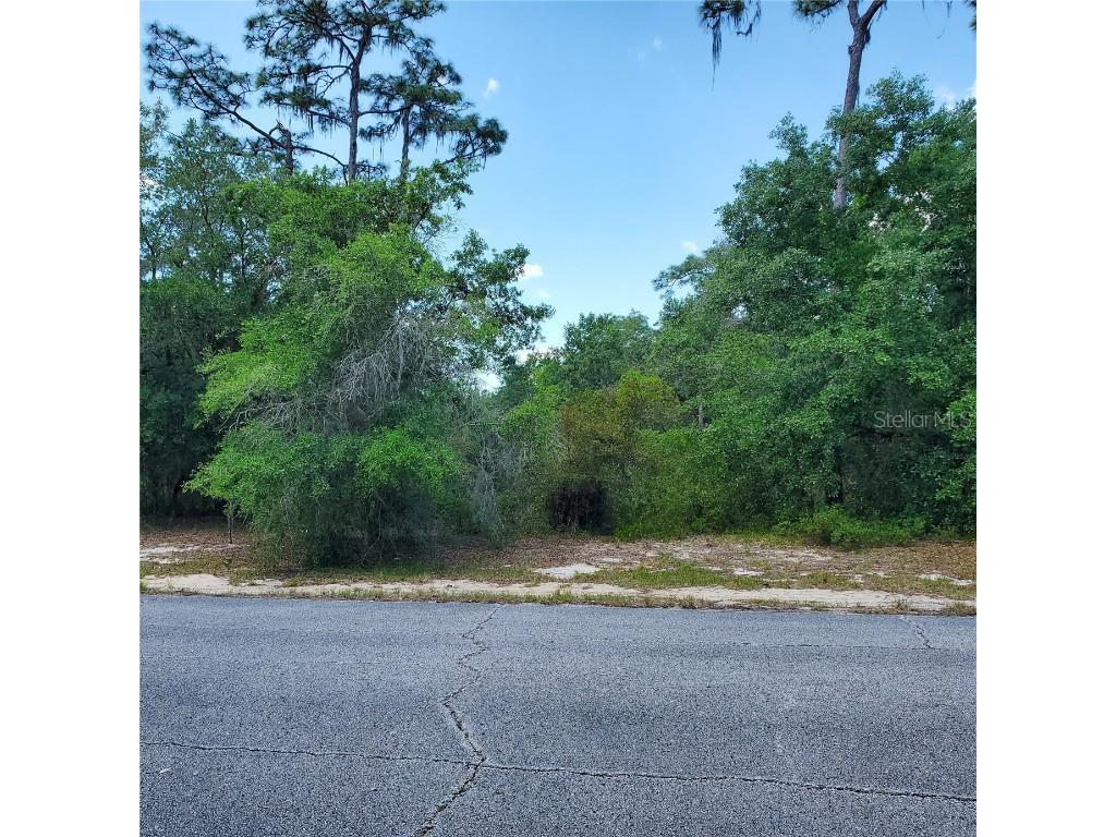 1345 St Augustine Court Kissimmee FL 34759 S5103635 image3