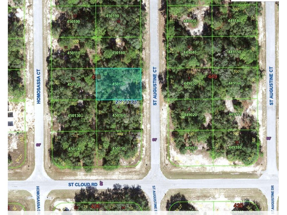 1345 St Augustine Court Kissimmee FL 34759 S5103635 image4