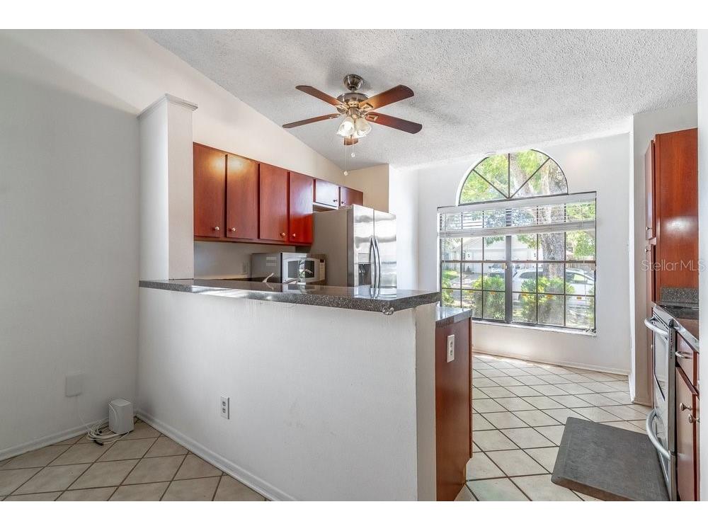 1345 Tindaro Drive Apopka FL 32703 O6416797 image10