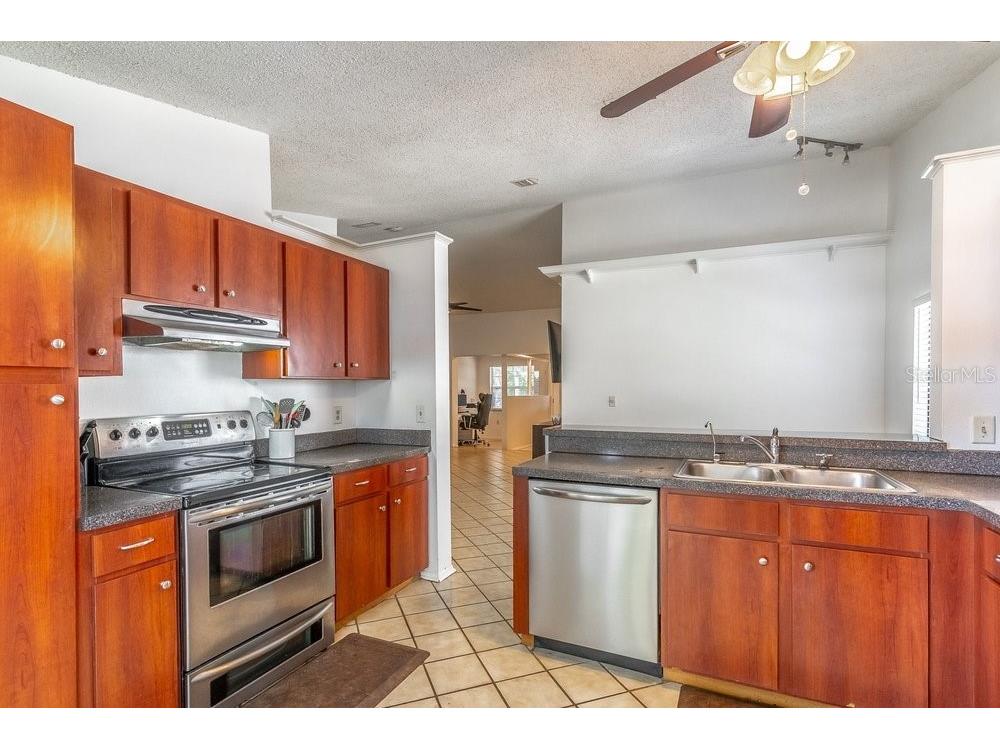 1345 Tindaro Drive Apopka FL 32703 O6416797 image14