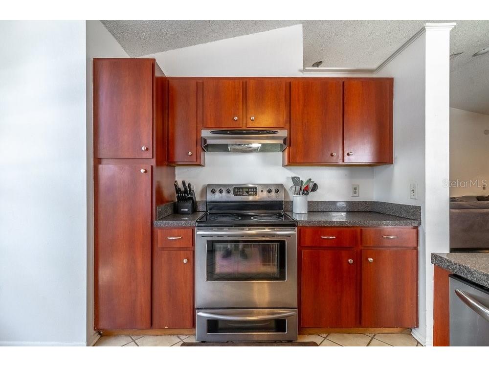 1345 Tindaro Drive Apopka FL 32703 O6416797 image15