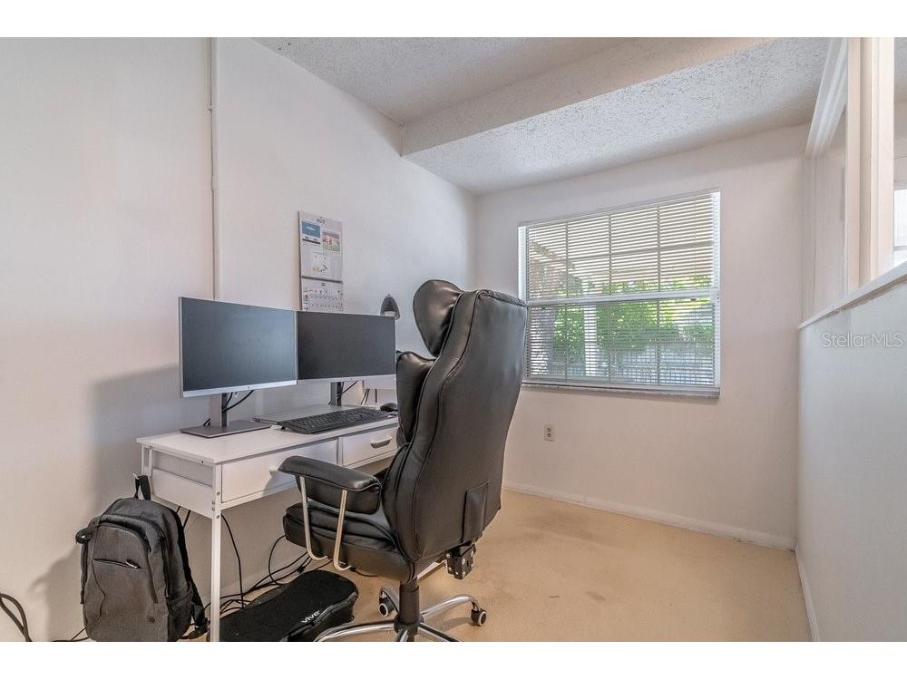 1345 Tindaro Drive Apopka FL 32703 O6416797 image20