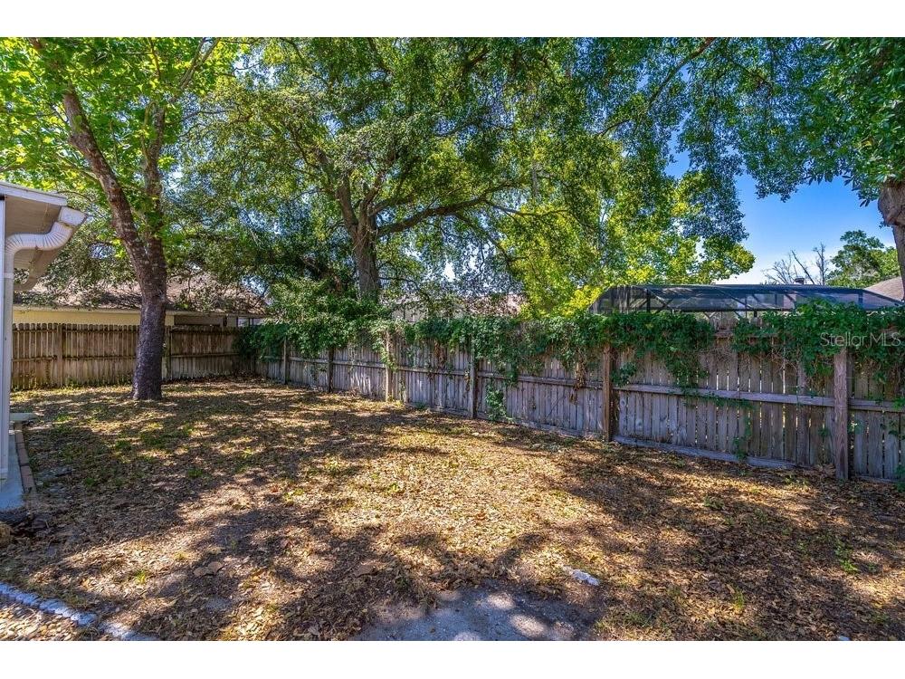 1345 Tindaro Drive Apopka FL 32703 O6416797 image41