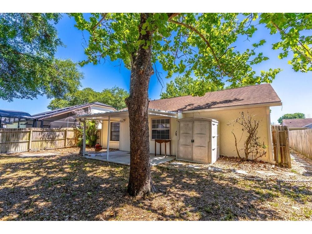 1345 Tindaro Drive Apopka FL 32703 O6416797 image43