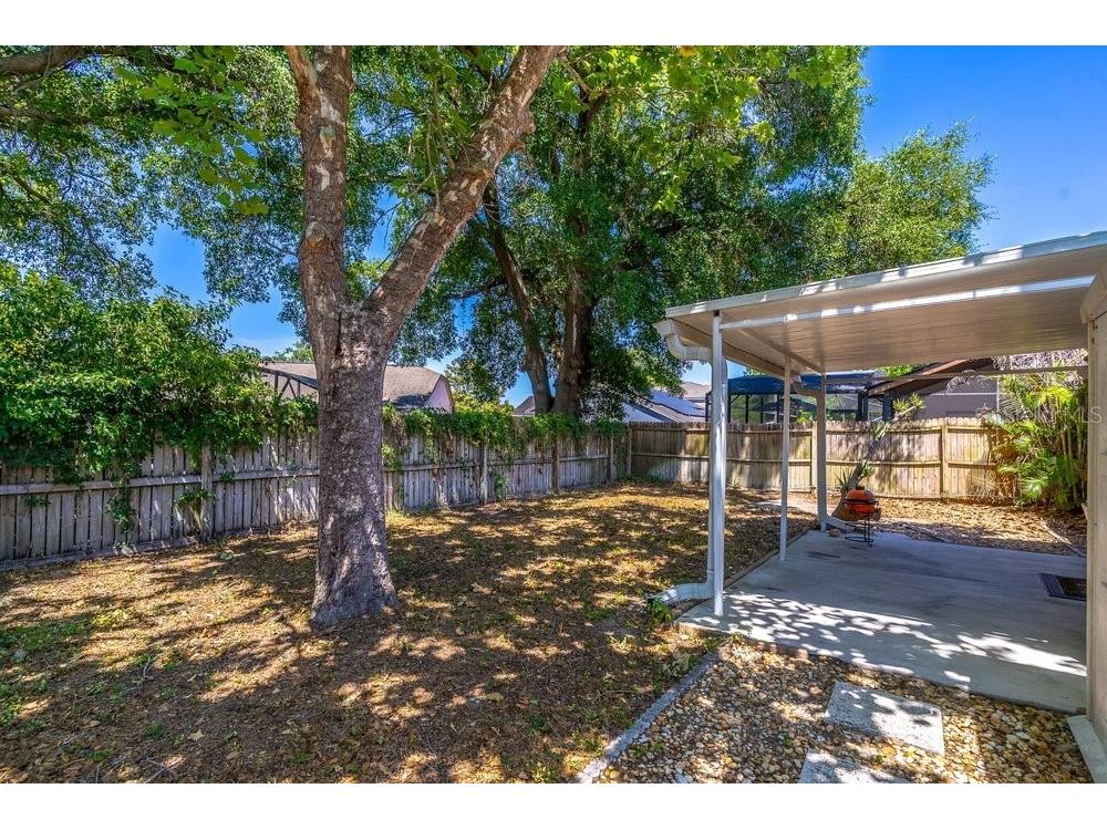 1345 Tindaro Drive Apopka FL 32703 O6416797 image44